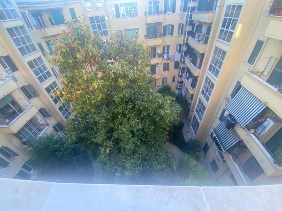 Domus Giulia & Andrea Apartamento Roma Exterior foto